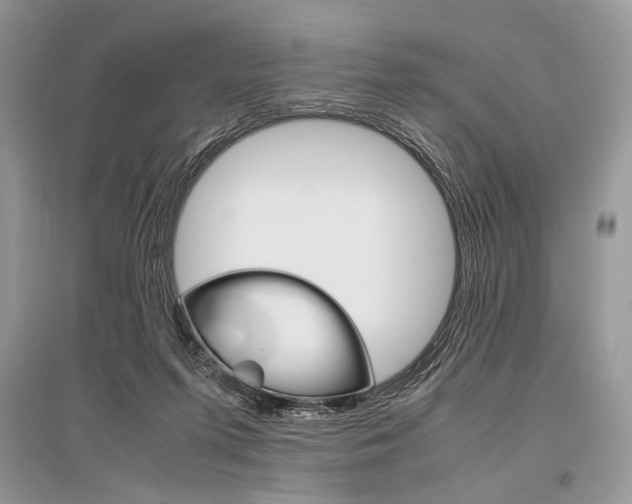X0000096480215200801241154
