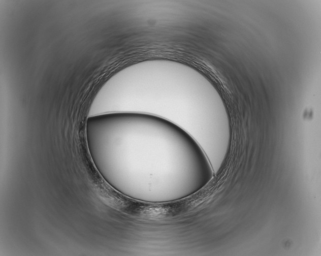 X0000096480217200801241154