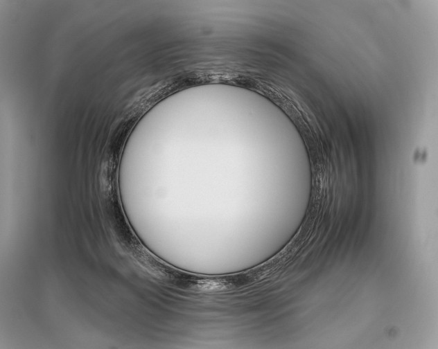 X0000096480218200801241154