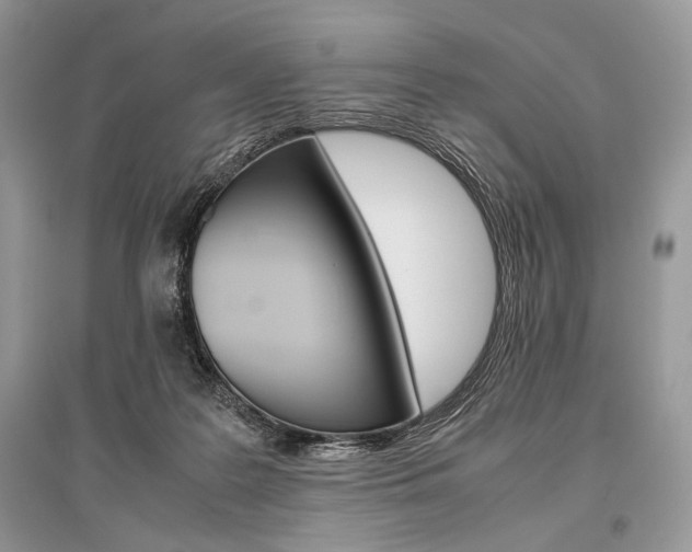 X0000096480219200801241154