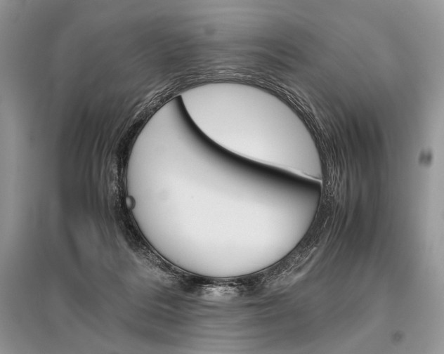 X0000096480220200801241154