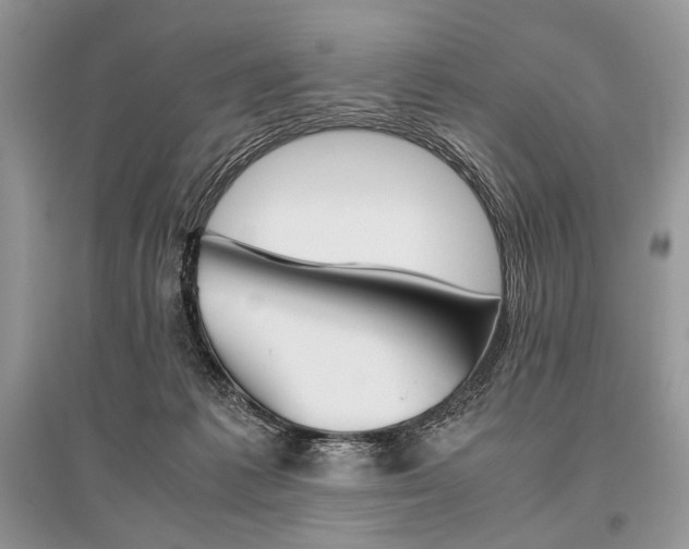 X0000096480221200801241154