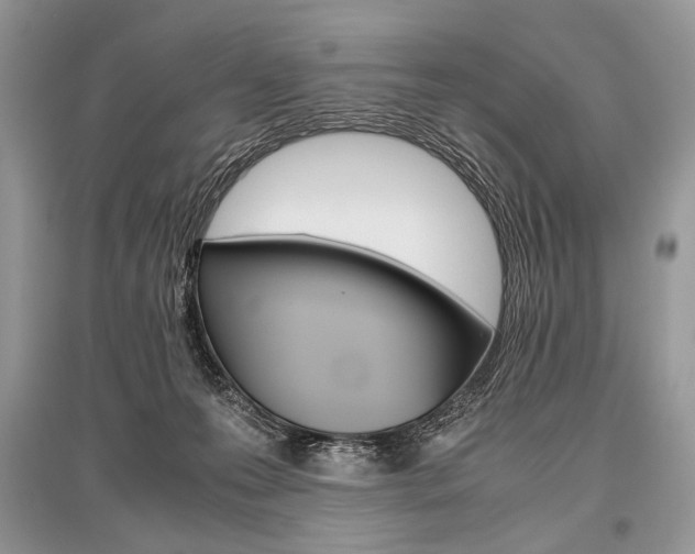 X0000096480223200801241154