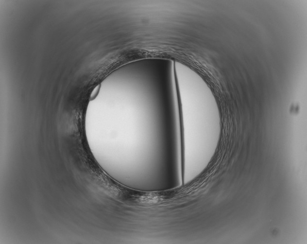 X0000096480225200801241154