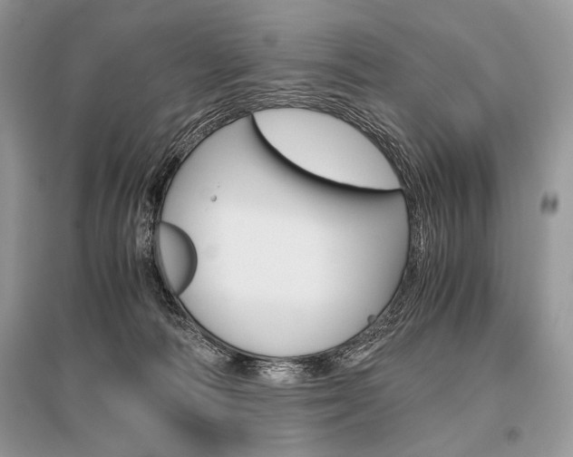 X0000096480226200801241154