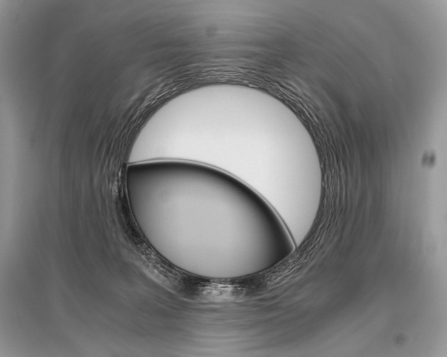 X0000096480227200801241154