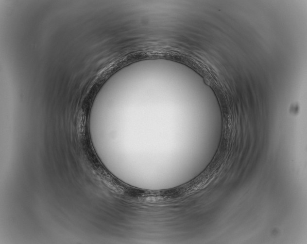 X0000096480228200801241154