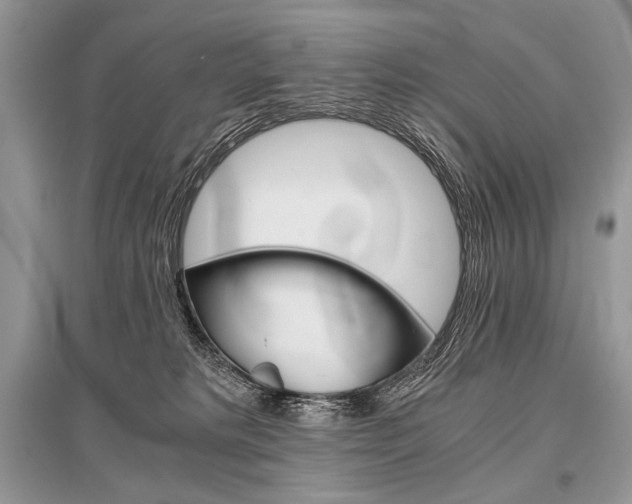 X0000096480229200801241154