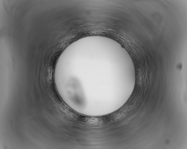 X0000096480230200801241154
