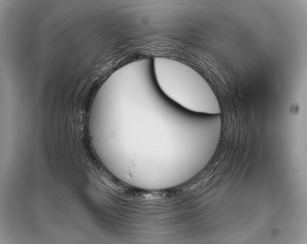 X0000096480232200801241154