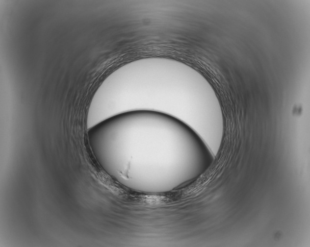 X0000096480233200801241154