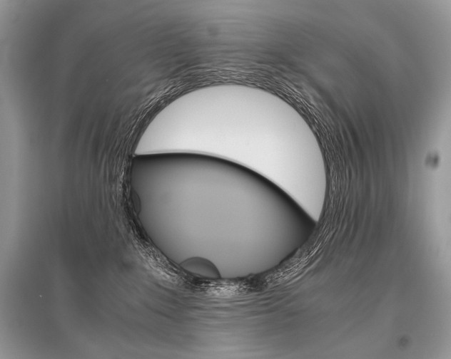 X0000096480235200801241154