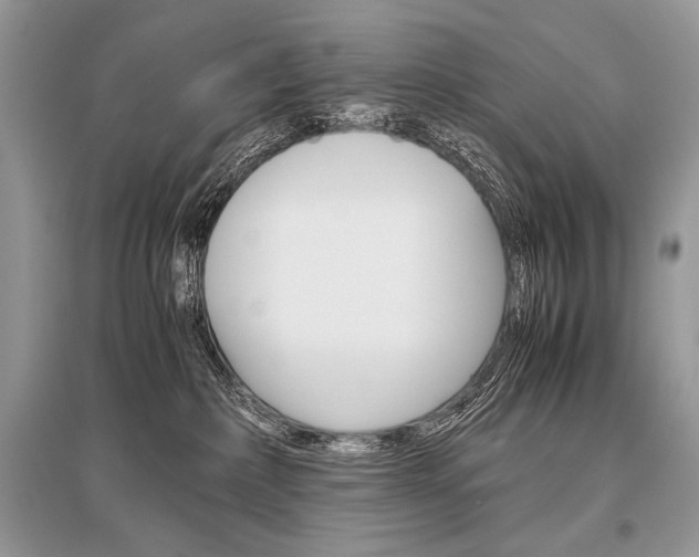 X0000096480236200801241154