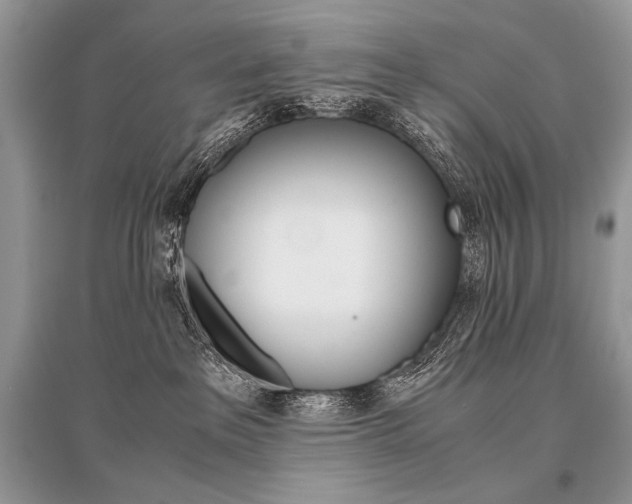 X0000096480237200801241154