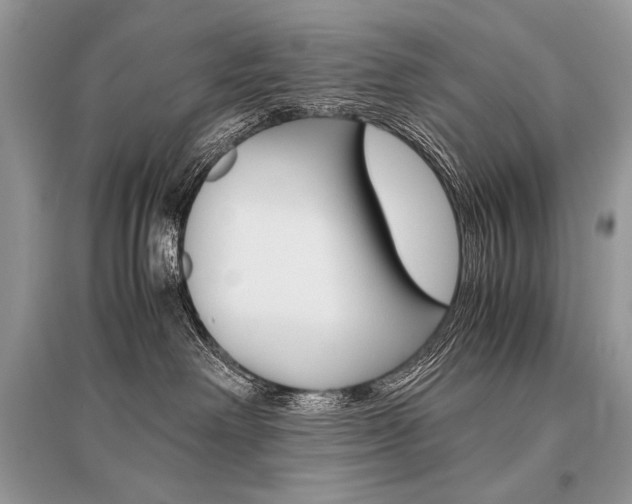 X0000096480238200801241154