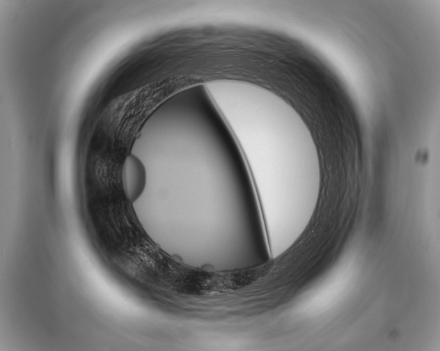 X0000096480239200801241154
