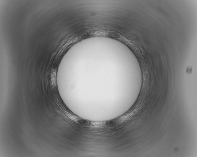X0000096480240200801241154