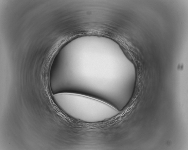 X0000096480241200801241153
