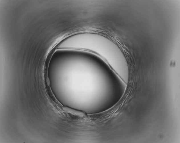 X0000096480244200801241153