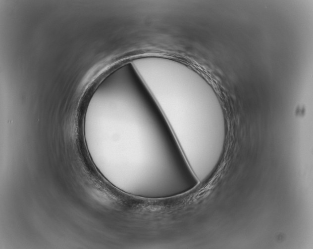 X0000096480247200801241153