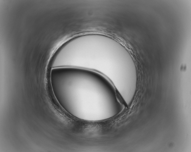 X0000096480248200801241153