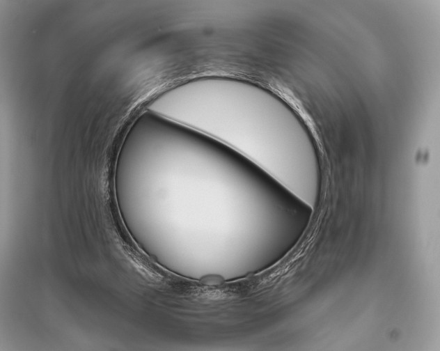 X0000096480249200801241153