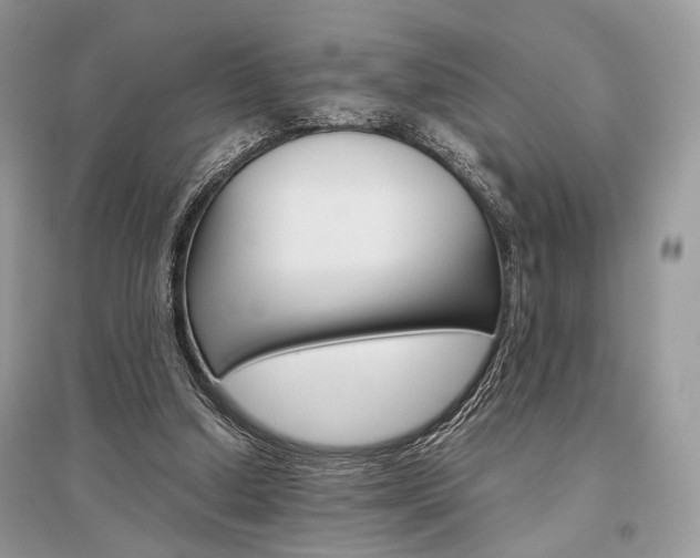 X0000096480250200801241153
