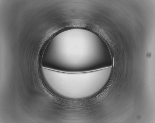 X0000096480252200801241153