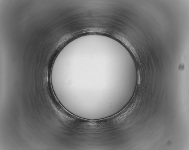 X0000096480253200801241153