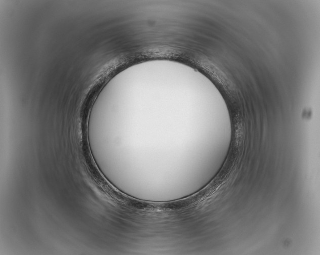 X0000096480254200801241153