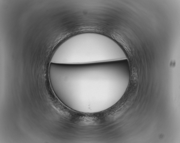 X0000096480255200801241153