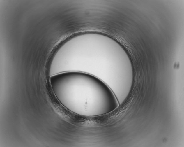 X0000096480256200801241153