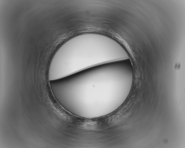 X0000096480257200801241153