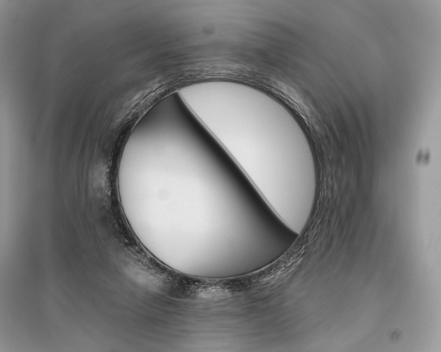 X0000096480258200801241153