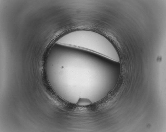 X0000096480260200801241153