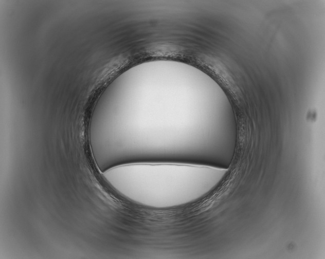 X0000096480261200801241153