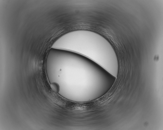 X0000096480263200801241154
