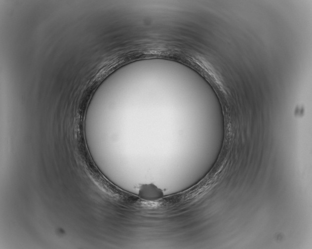 X0000096480265200801241154