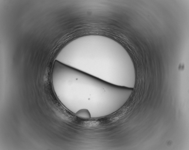 X0000096480266200801241154