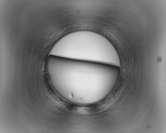X0000096480268200801241154