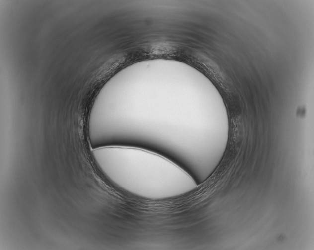 X0000096480269200801241154