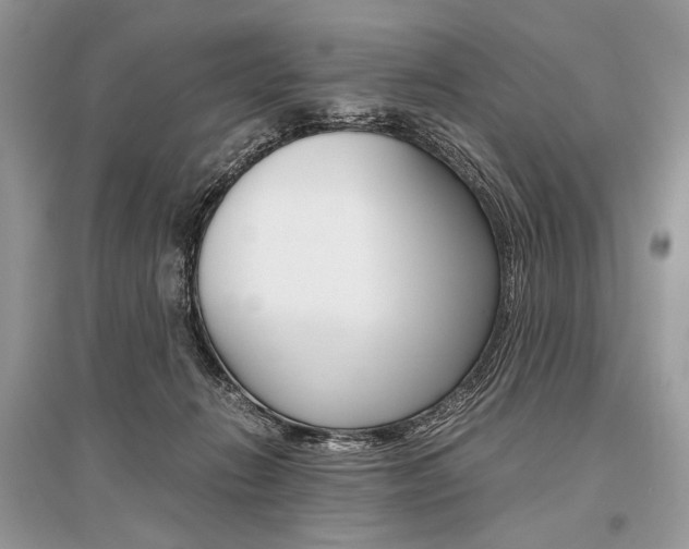 X0000096480270200801241154