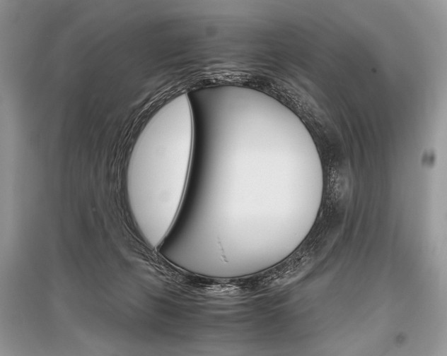 X0000096480271200801241154