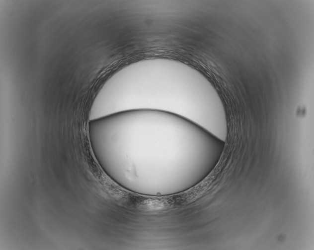 X0000096480272200801241154