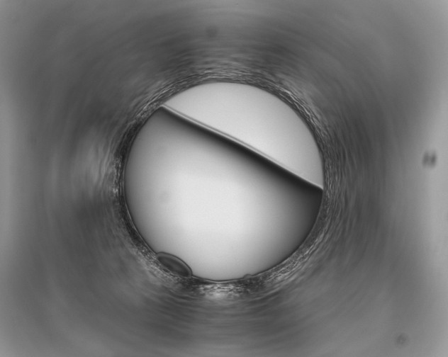 X0000096480273200801241154