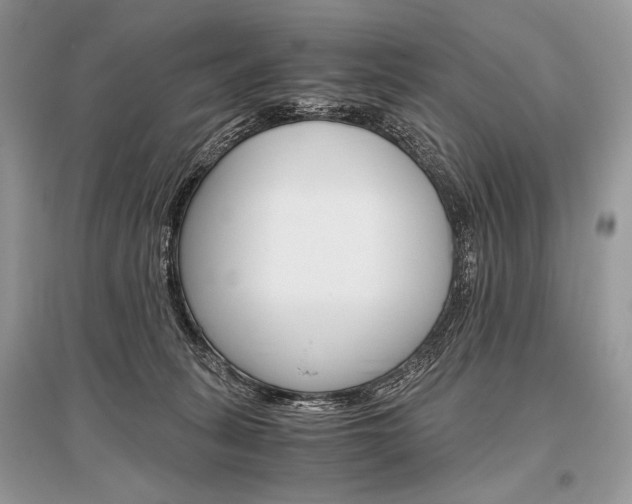 X0000096480275200801241154