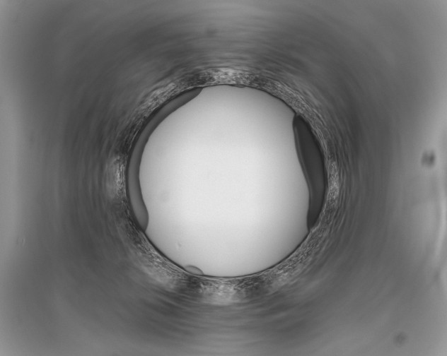 X0000096480276200801241154