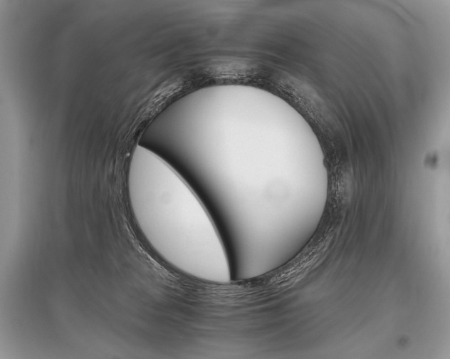 X0000096480277200801241154