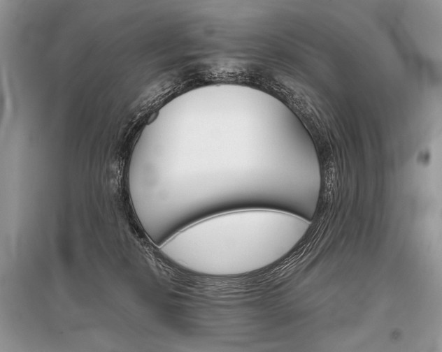X0000096480278200801241154