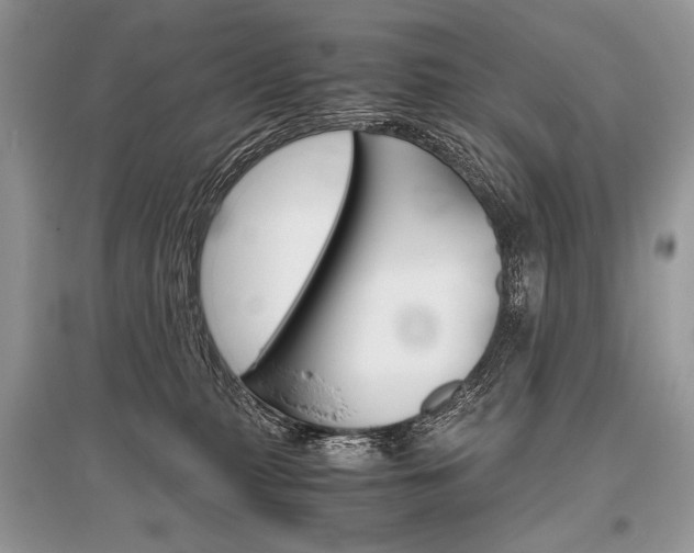 X0000096480279200801241154
